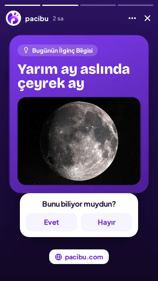 PaCiBu Instagram hikâyesi: Bugünün İlginç Bilgisi ve anket çıkartması