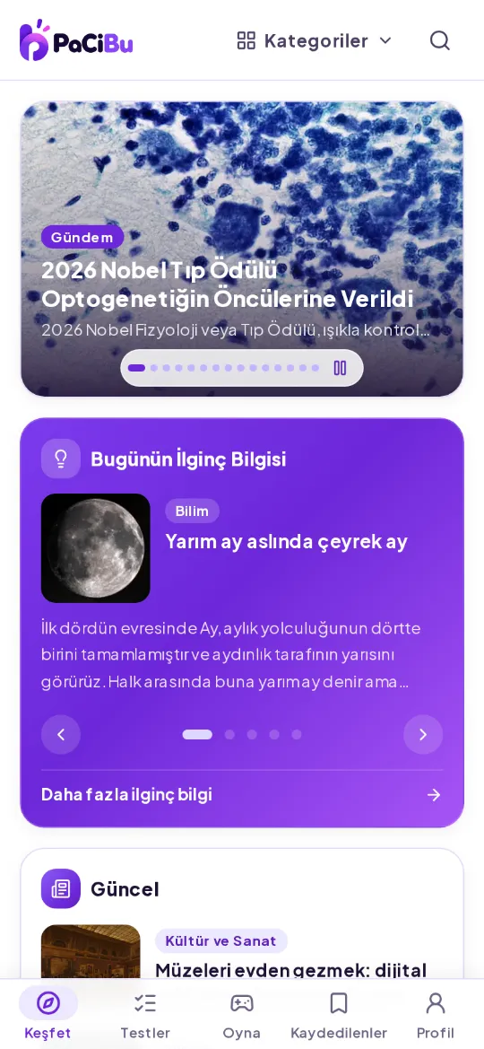 PaCiBu ana sayfası, mobil görünüm